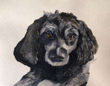 Load image into Gallery viewer, Pet Portraits by Commission