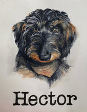 Load image into Gallery viewer, Pet Portraits by Commission