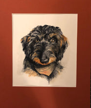 Load image into Gallery viewer, Pet Portraits by Commission