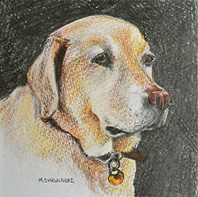 Load image into Gallery viewer, Pet Portraits by Commission