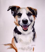 Load image into Gallery viewer, Pet Portraits by Commission