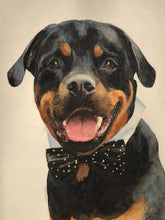 Load image into Gallery viewer, Pet Portraits by Commission