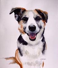 Load image into Gallery viewer, Pet Portraits by Commission
